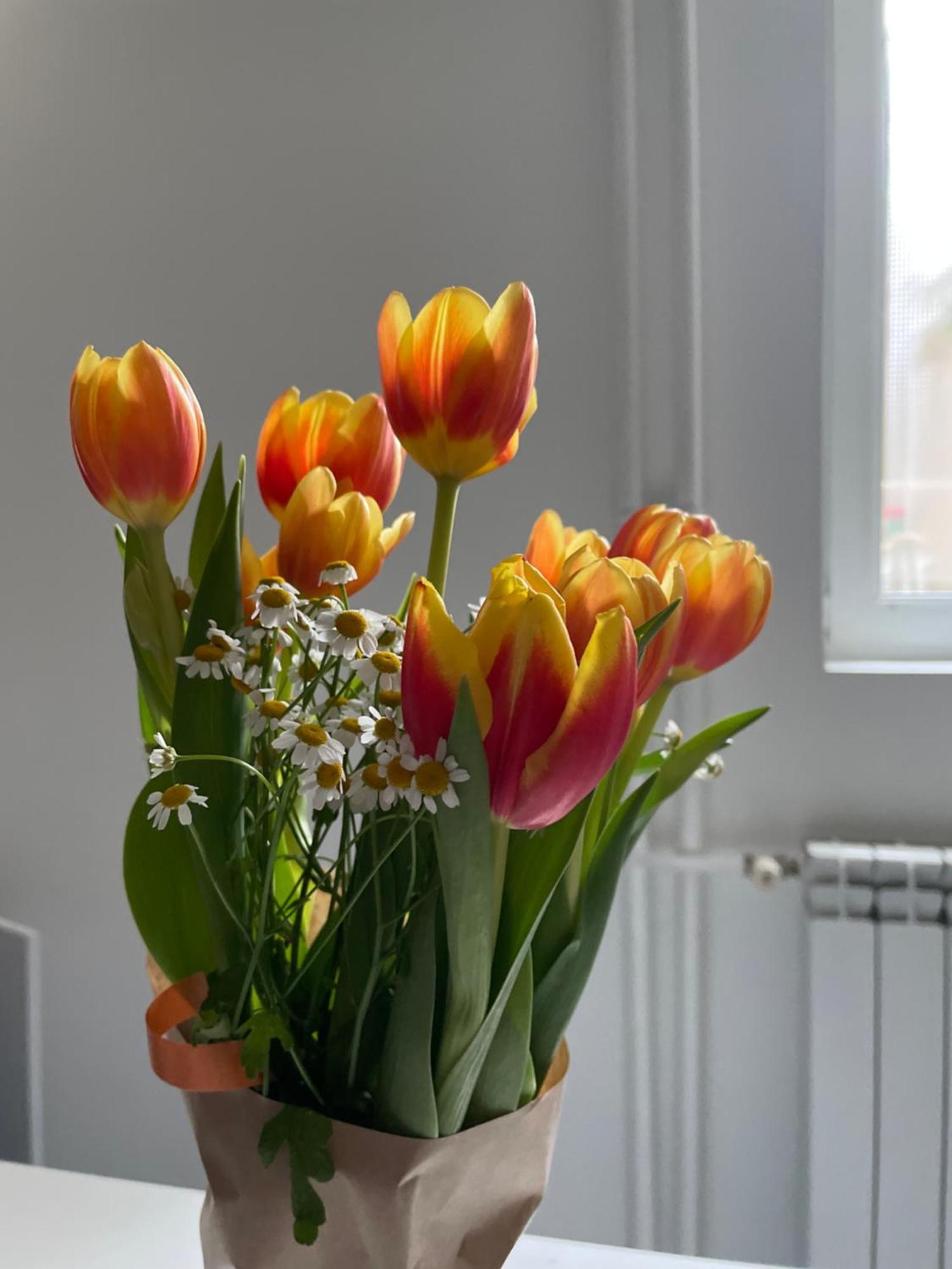 Apartment Alexandar13 Belgrad