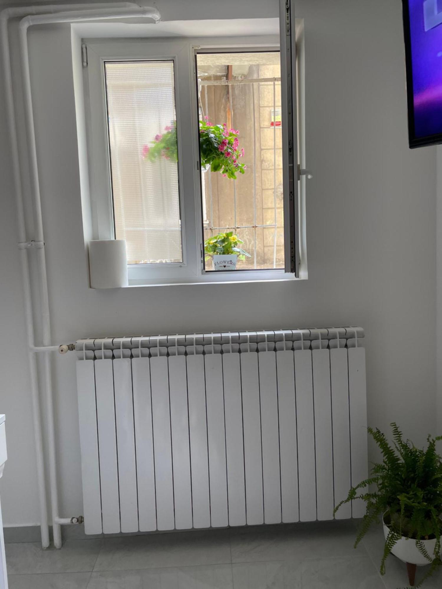 Apartment Alexandar13