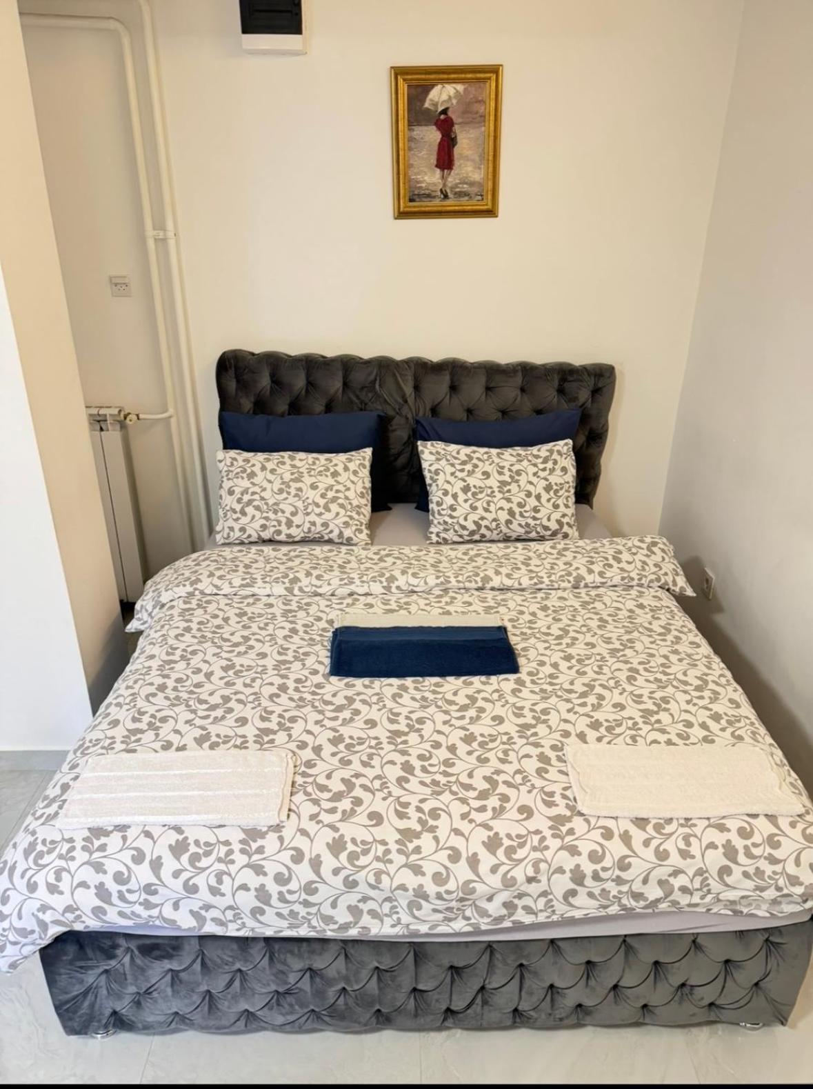 Apartment Alexandar13 Belgrad
